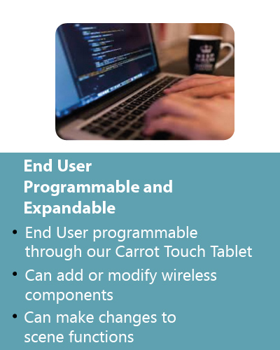carrot feature 2